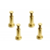 A8 King pins titanium coated 